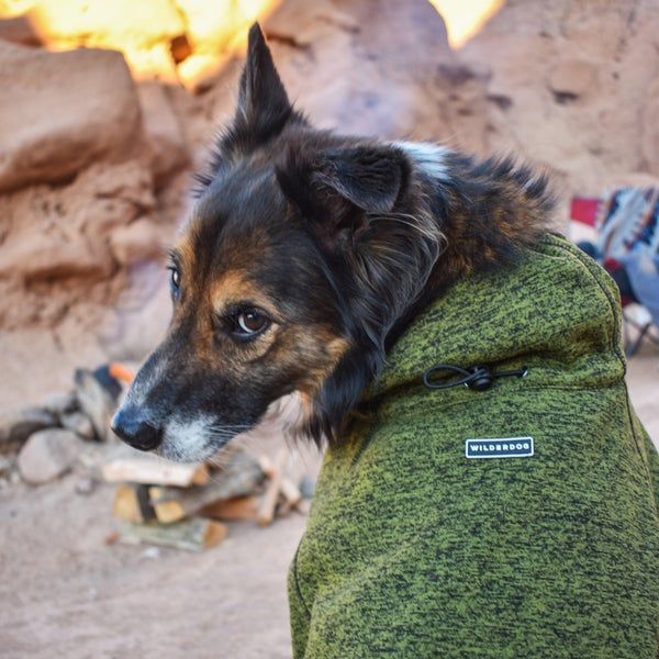 Wilderdog / Fleece Jacket, Olive