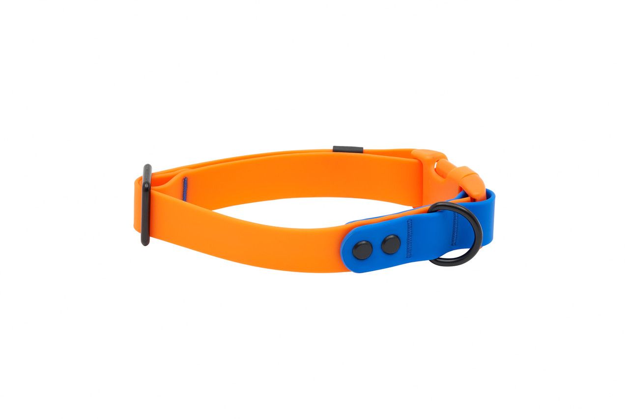 RC Pets / Waterproof collar, Orange/ sapphire