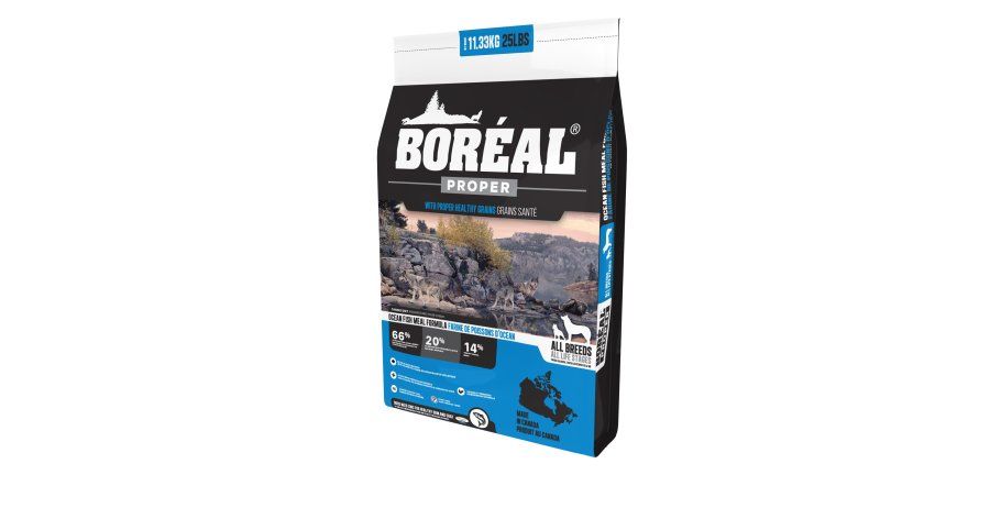Boréal Chien /  Proper poisson d&#39;océan, 11,33kg