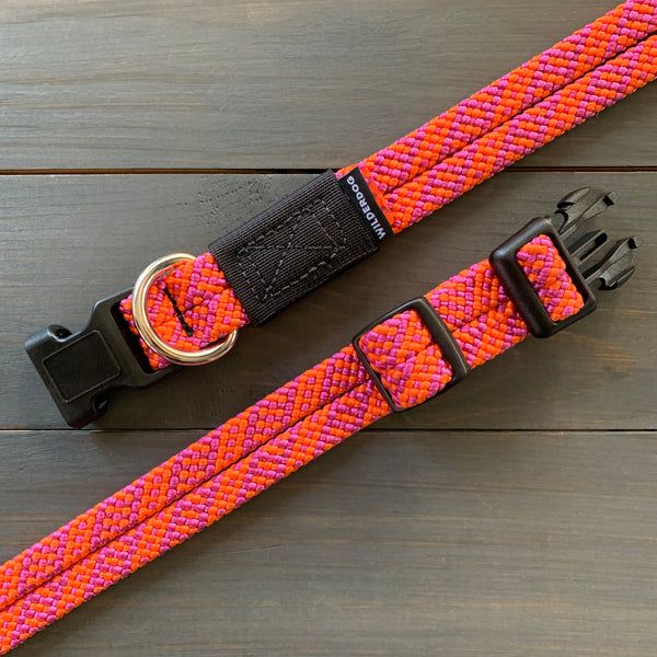 Wilderdog / Collar, Sierra