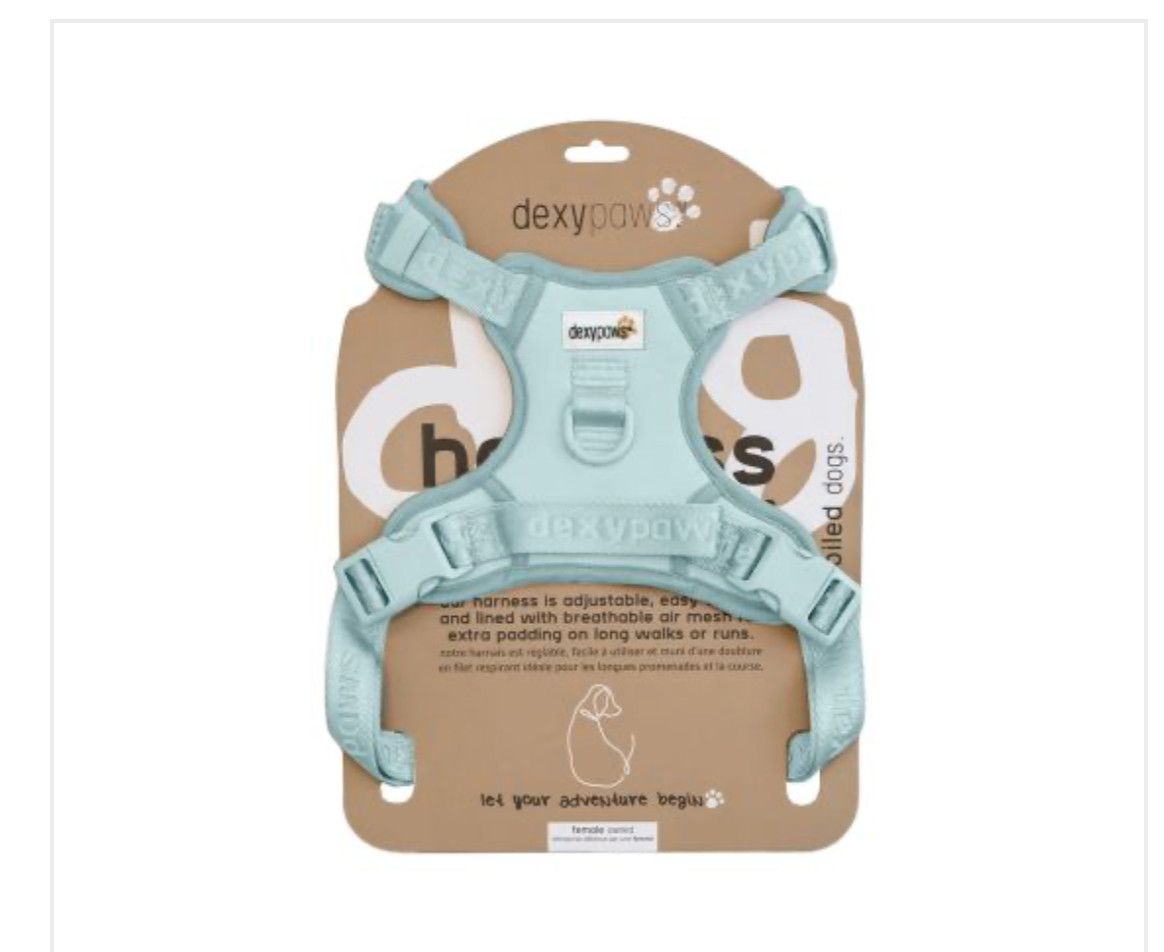 Dexypaws / harnais sans traction , bleu