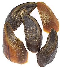 Beef Hooves,