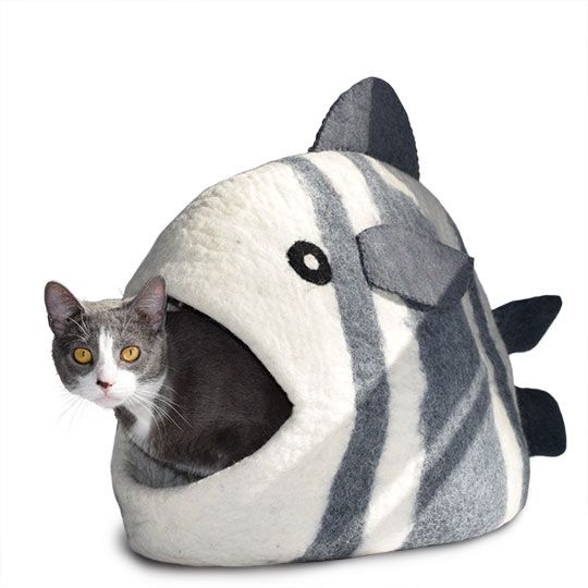 Dharma Dog Karma Cat / Fish, White &amp; Grey