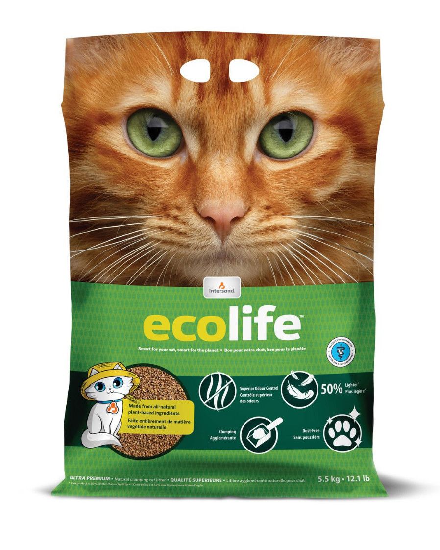 Intersand / Ecolife Agglomérante, 5,5kg