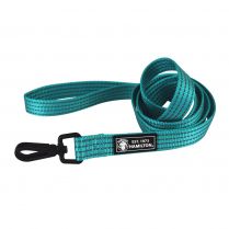 Hamilton / High visibility adjustable lead turquoise, 1&quot; x 6