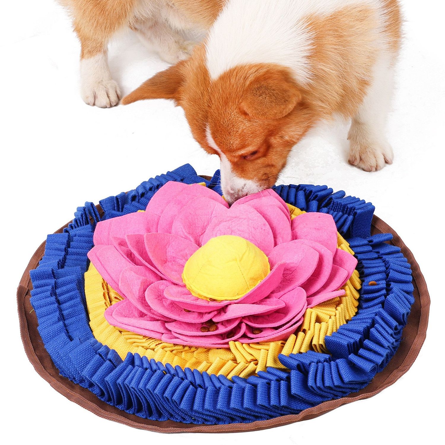 Pawz N Dogz / Tapis de fouille, Divine Lotus