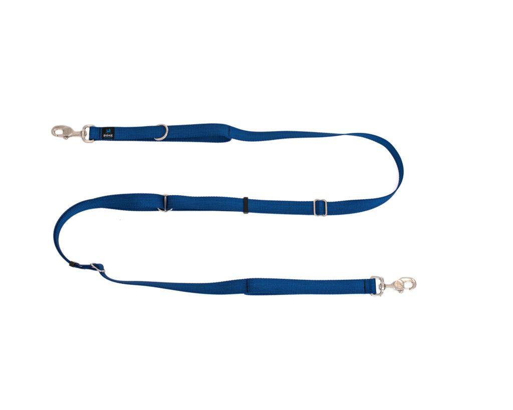 Nahak / Laisse multi, Bleu