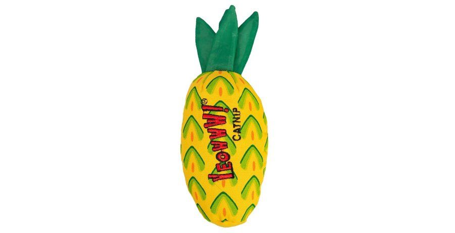 Ducky World / Ananas herbe à chat