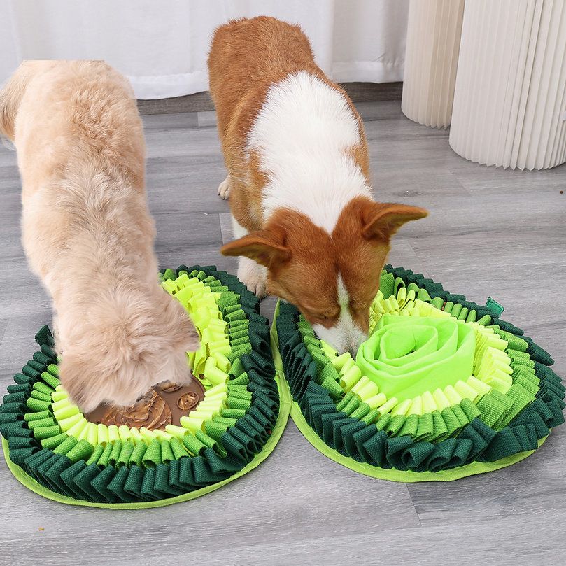 Pawz N Dogz / Tapis de fouille, Avocado