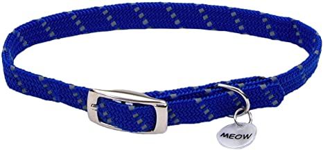 Coastal / Collier Elasta Cat, Bleu