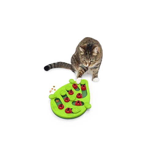 Outward Hound / Buggin&#39; Out cat puzzle