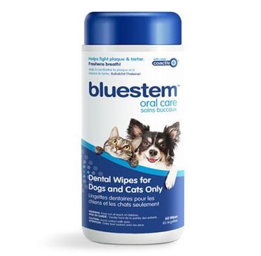 Bluestem /  Oral Care Dental Wipes Vanilla, 60pc