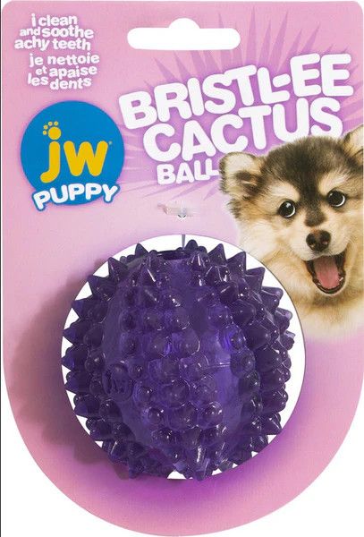 JW / Bristl-ee Cactus ball