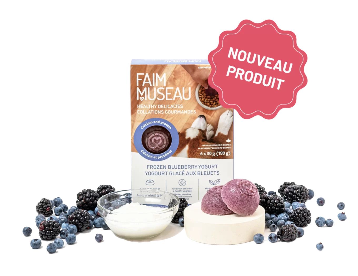 Faim museau / Yogourt glacé aux bleuets