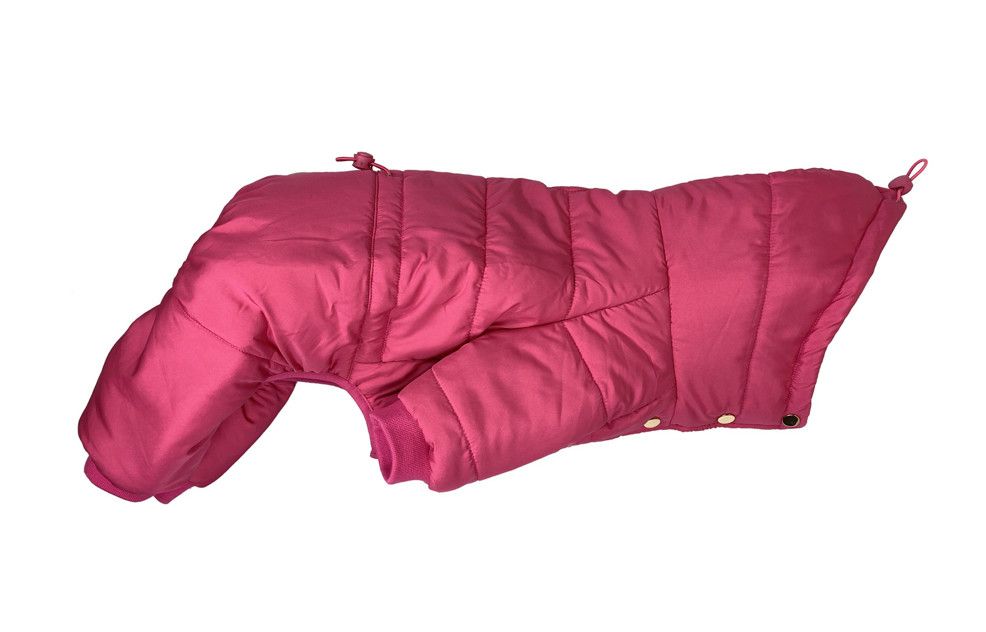 Pretty Paw / Expedition magenta rose  , XXSmall