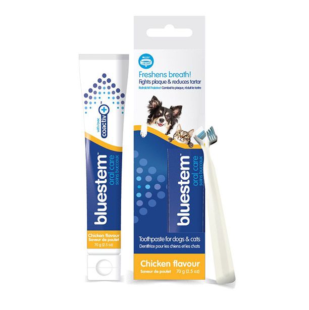 Bluestem /  Oral Care Toothpaste/Brush, chicken