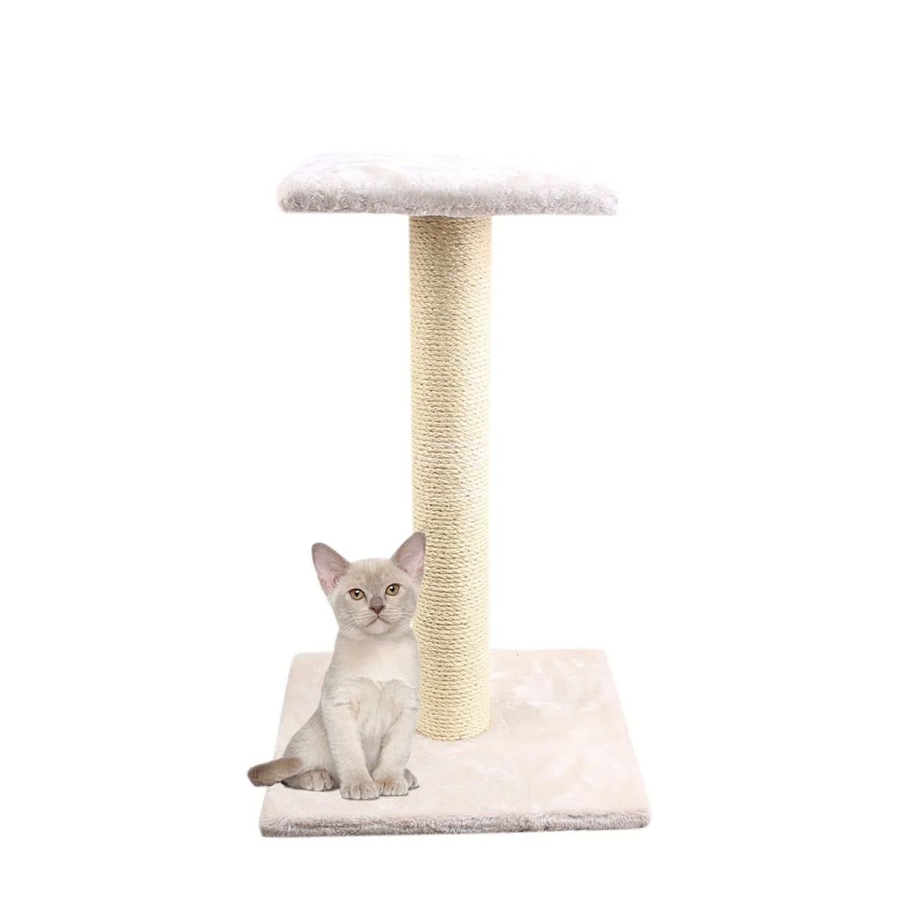 Cloe Cluzo / Iceland cat tower scrather sisal rope and push