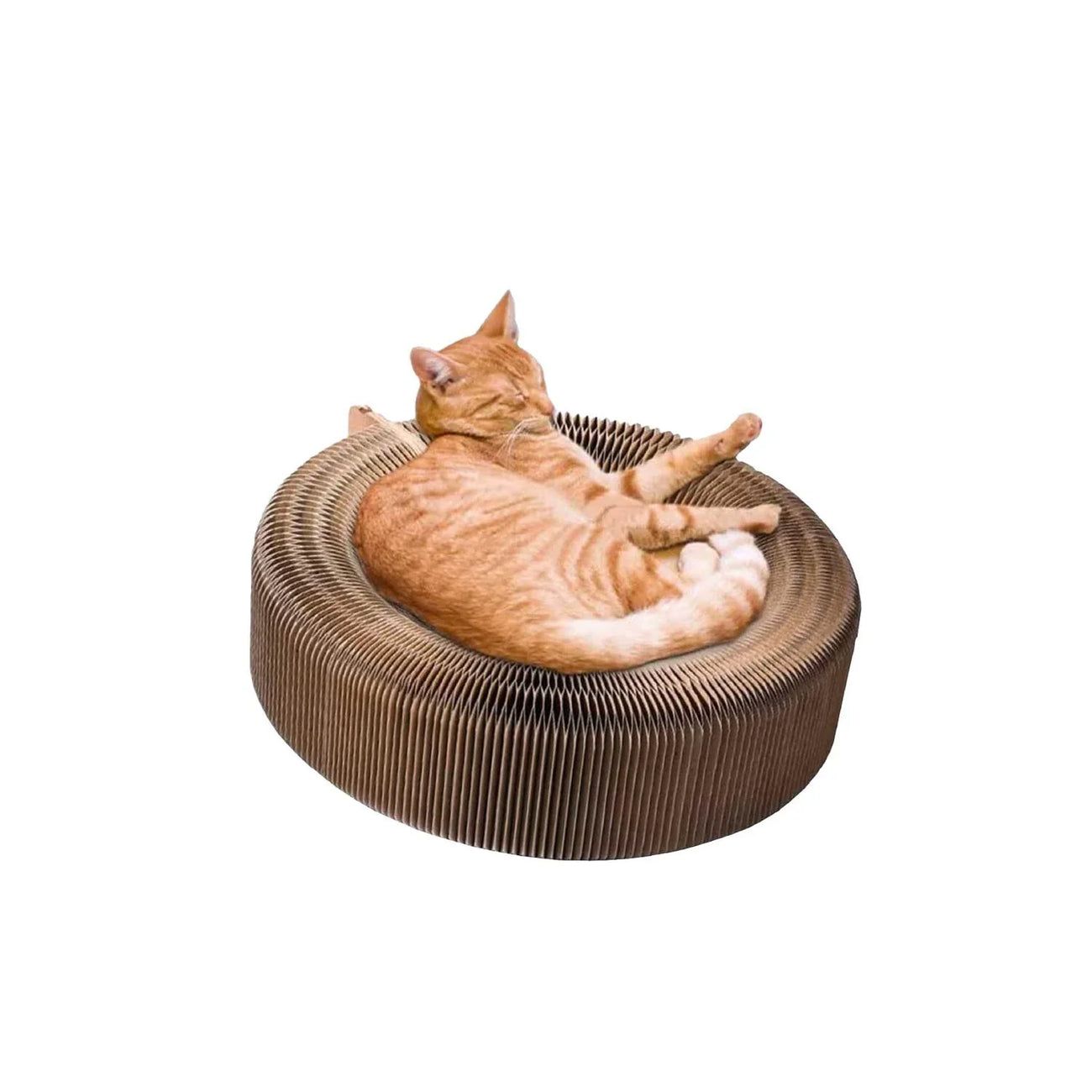 Cloe Cluzo / Round foldable expandable cat scrather