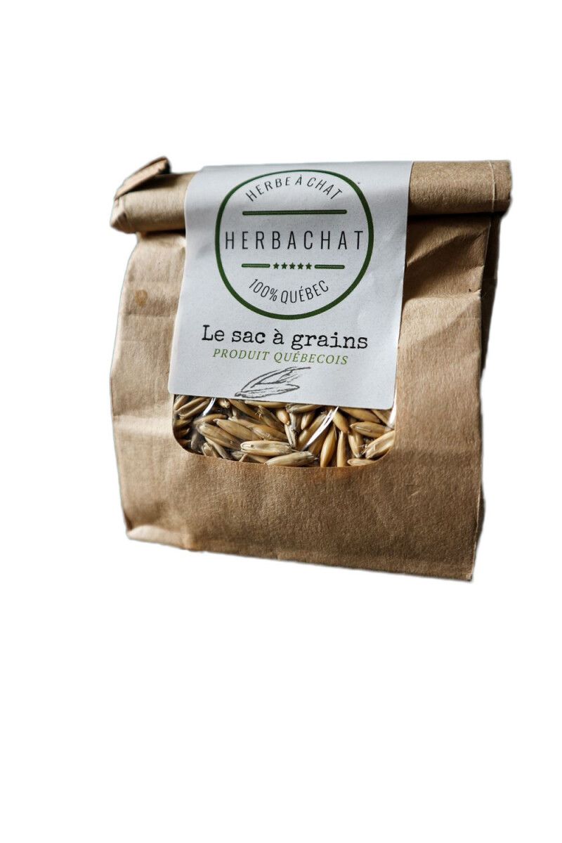Herbachat /  Sac à grains , semence d&#39;herbe a chat , 150gr
