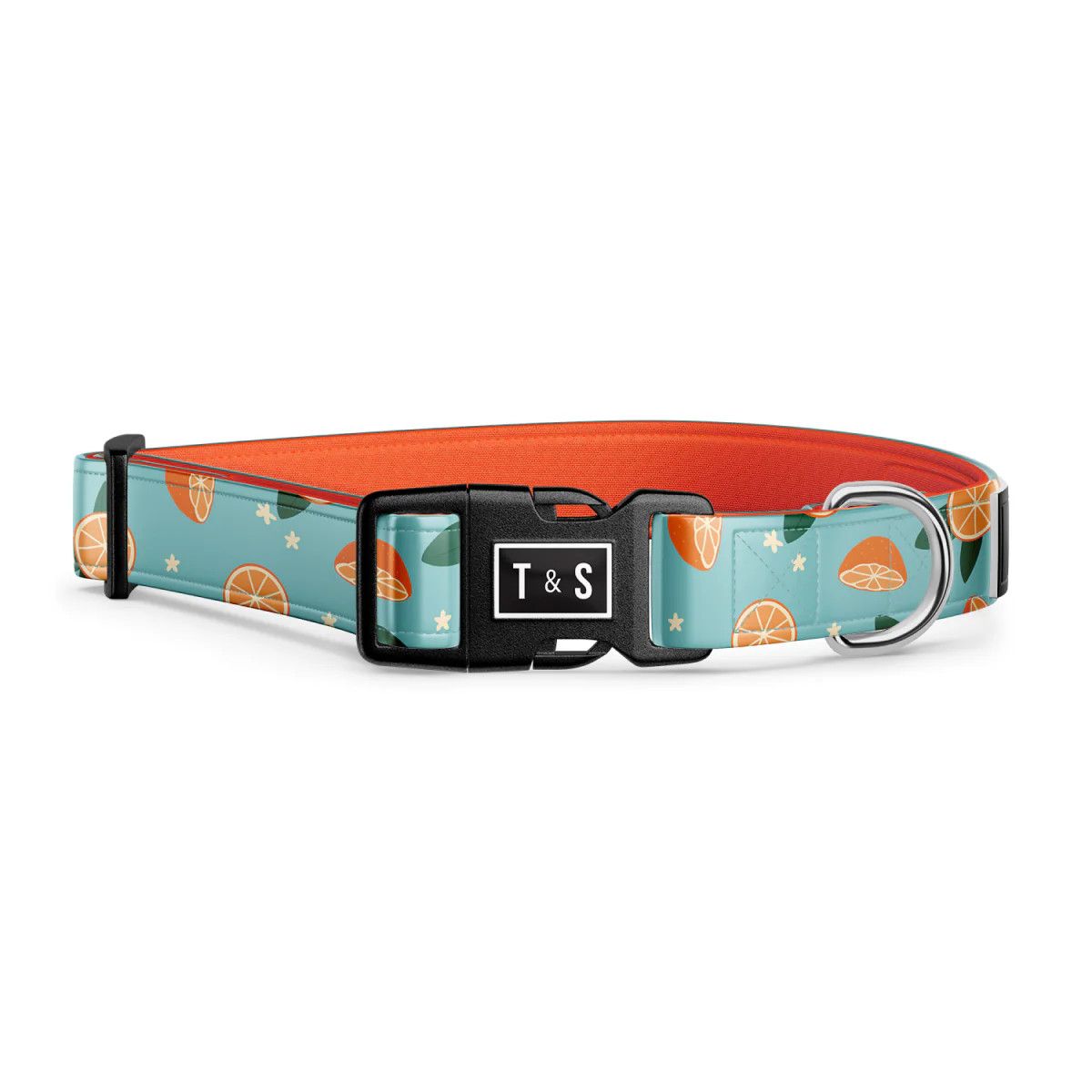 Tella &amp; Stella / Collier chien, Oranger, Size: Grand