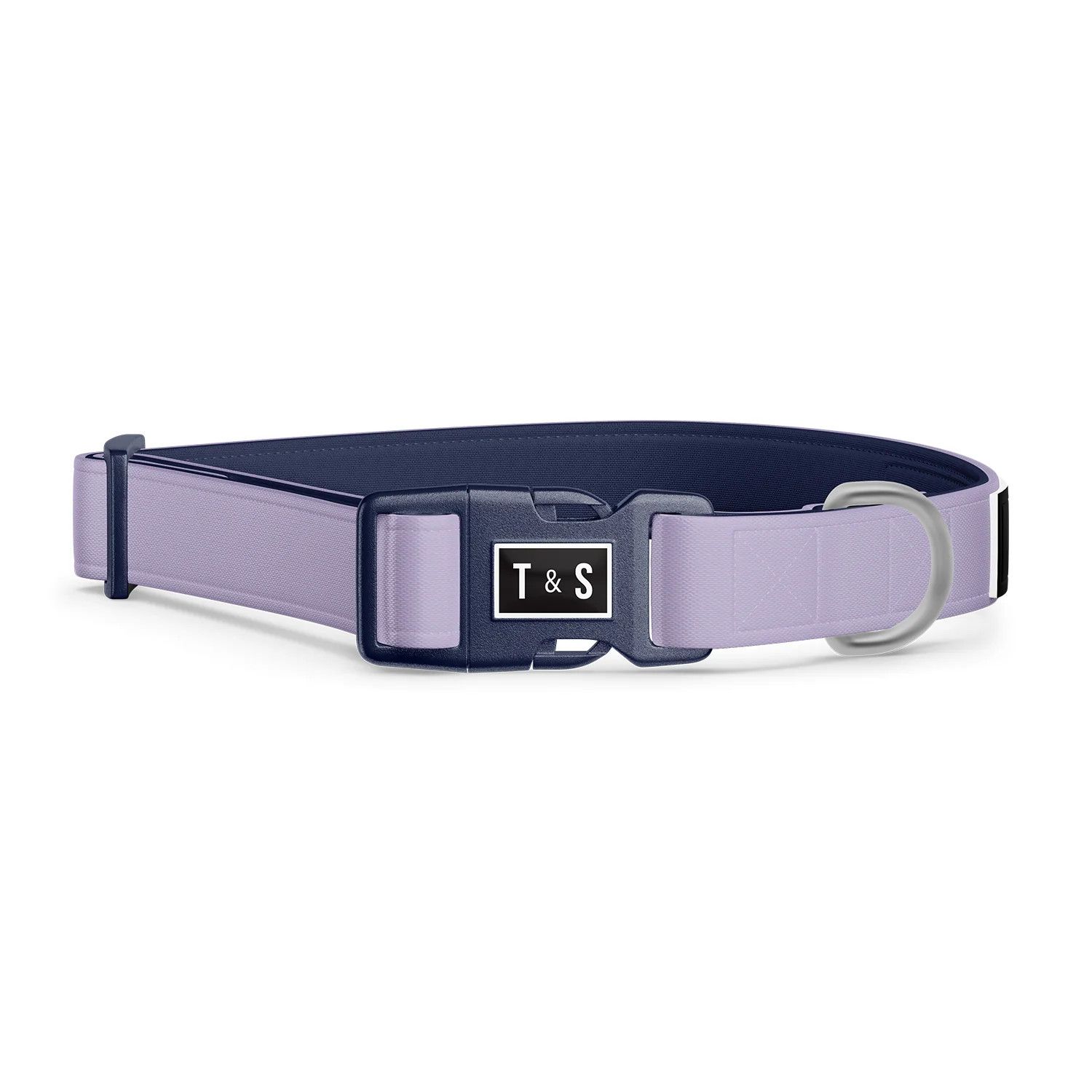 Tella &amp; Stella / Collier chien, Lila, Size: Grand