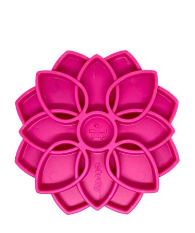SodaPup / Feder mandala rose