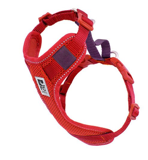 Rc pet / harnais moto moyen , goji Berry