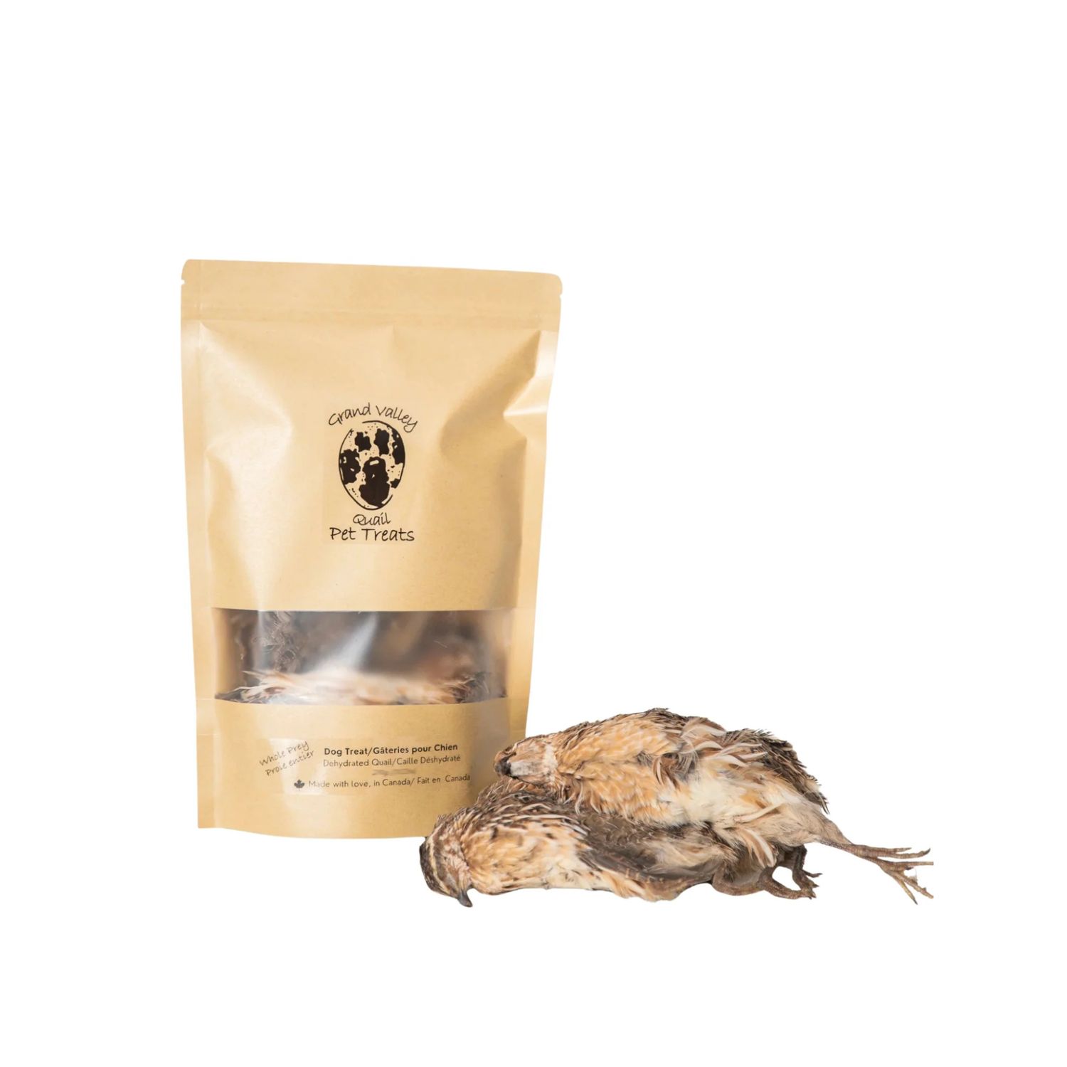 GVQPT /  Poussin de quaille