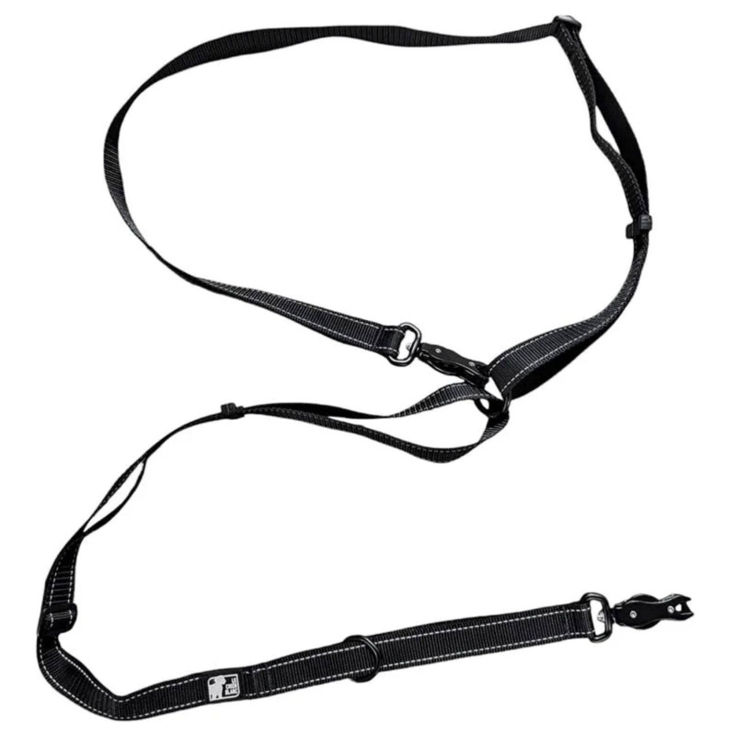 Le chien blanc/ laisse multi, noir