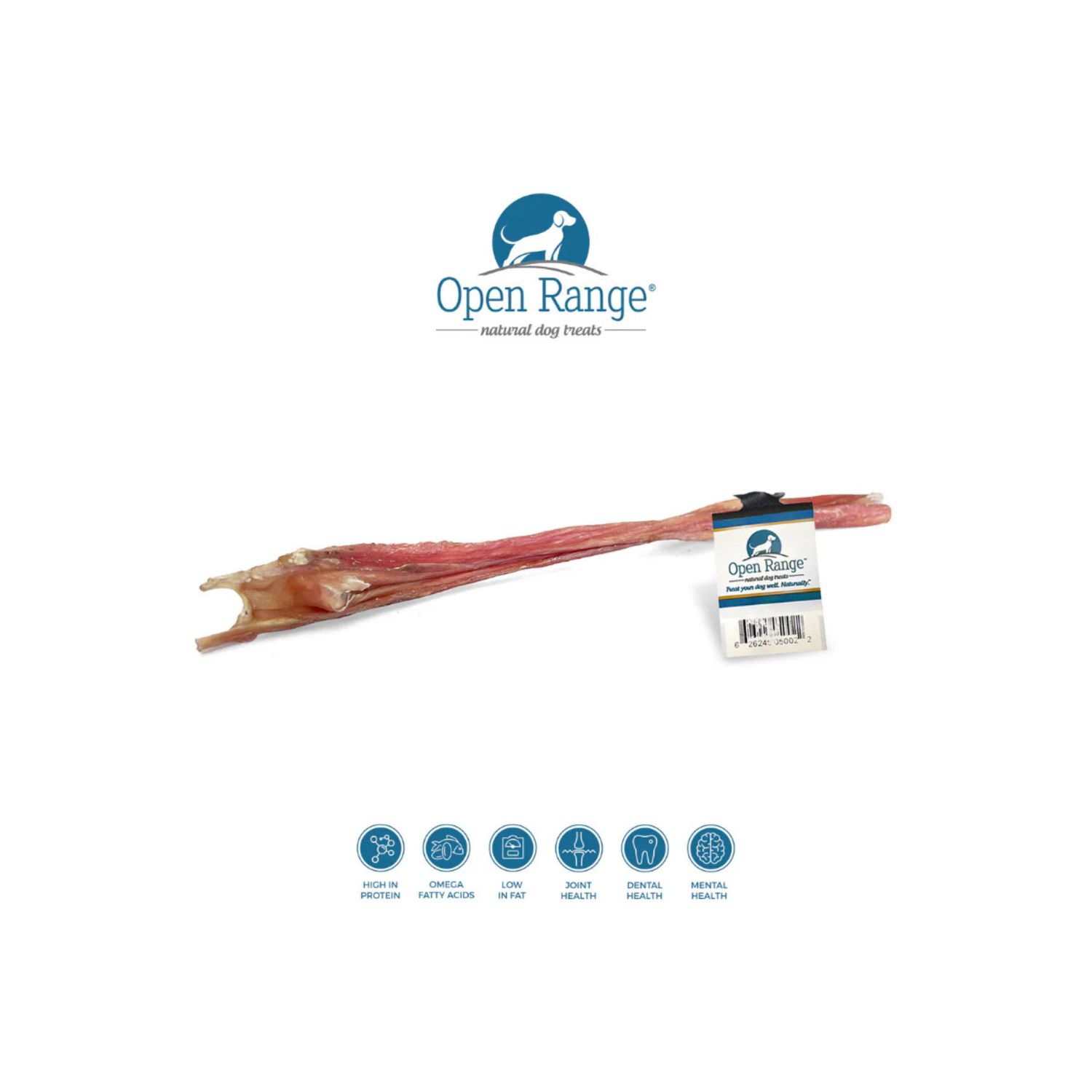 Open Range / Bladder Stick 12po