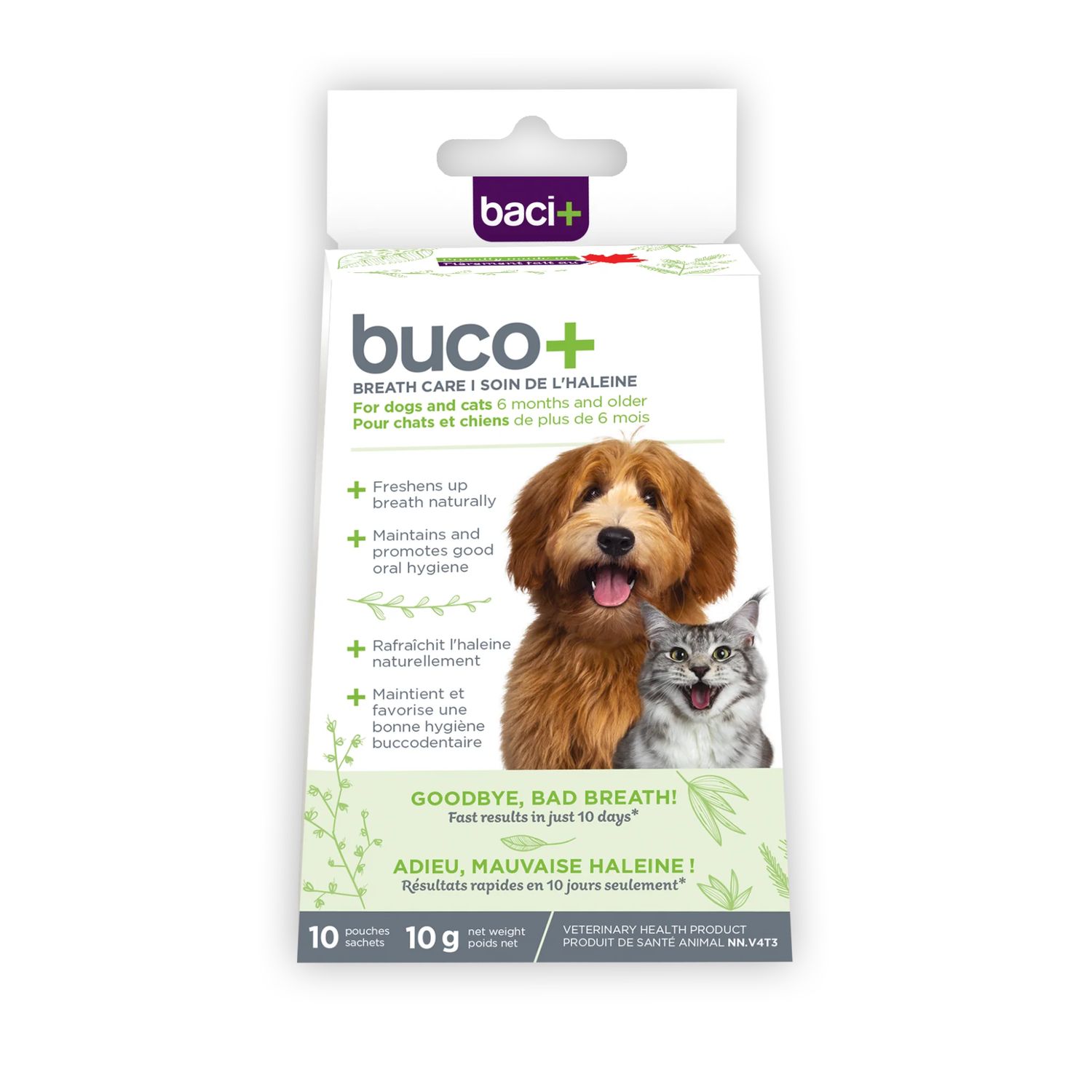 Baci+ / Buco+ chien -chat, 10jours