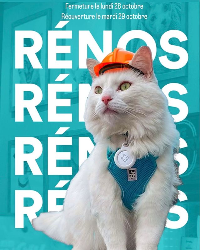 Autre produit de toilettage pour chien