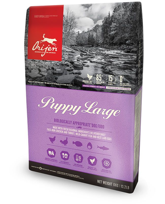 Orijen Chien / Puppy Large, Size: 6kg