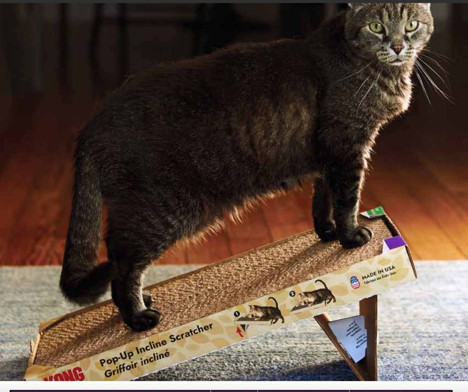 Kong \ Grattoir naturals pop-up, incliné