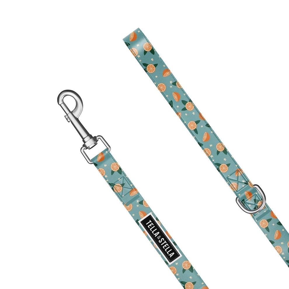 Tella &amp; Stella / Laisse chien , Oranger, Size: Moyen