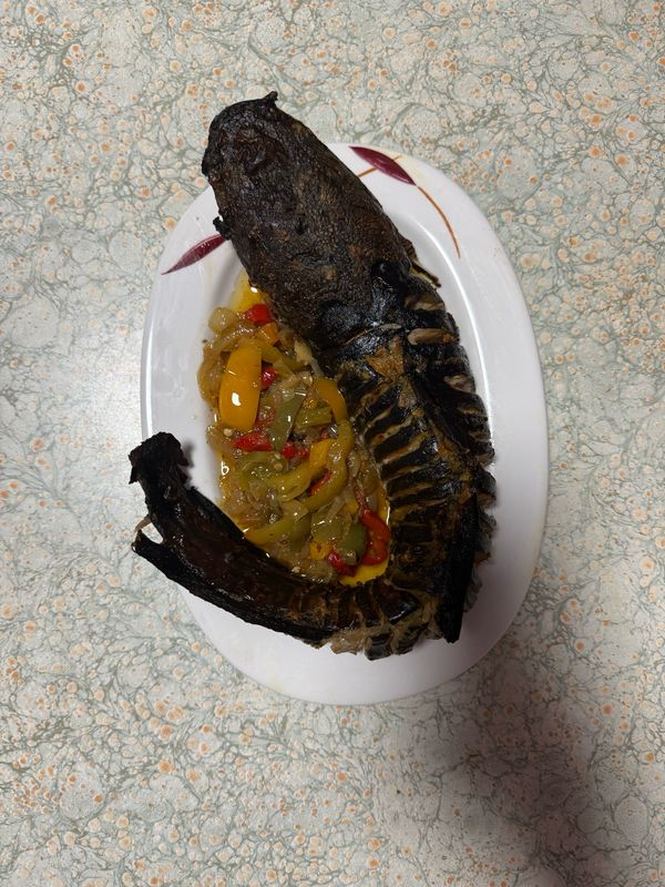 Poissons chats = NGOLO