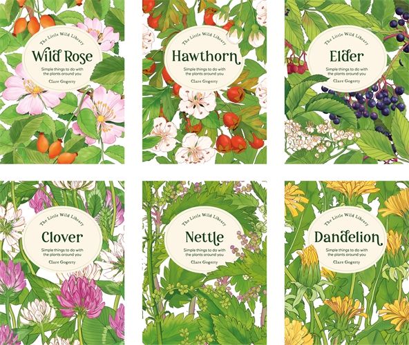 The Little Wild Library 6 Book Bundle