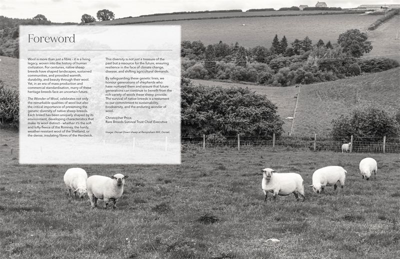The Wonder of Wool