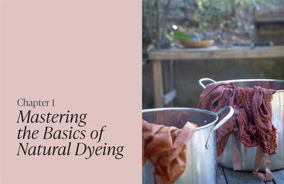 The Natural Dye Handbook