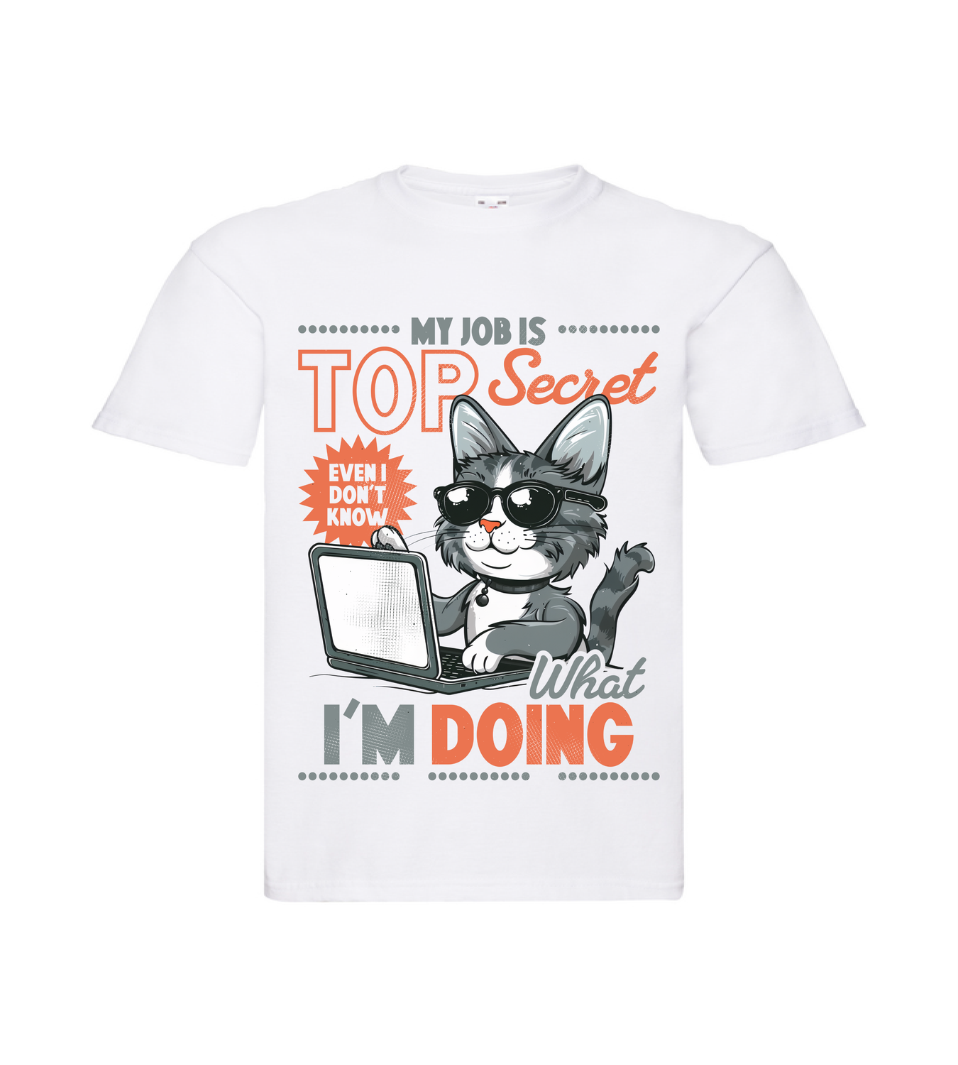 My Job is top secret