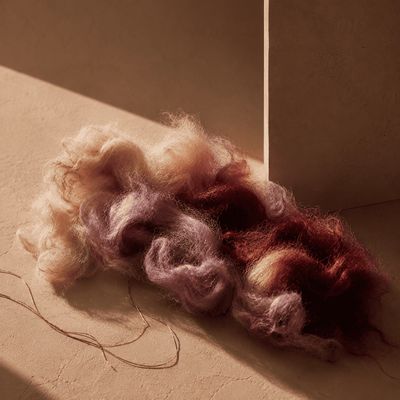 Wool