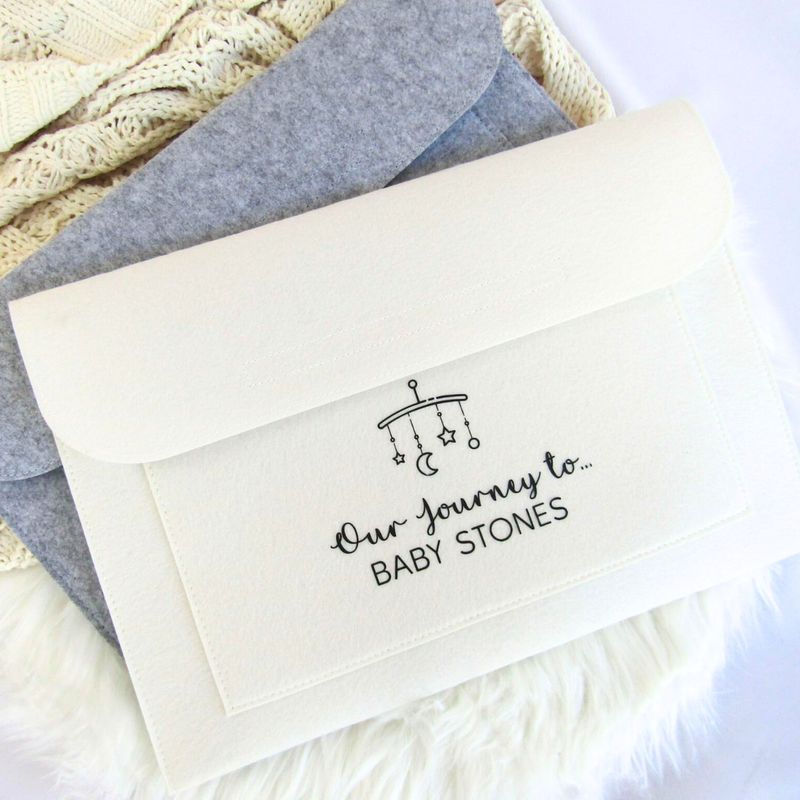 Pregnancy Notes Folder