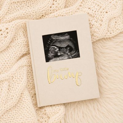 Pregnancy Journal Pregnancy Journal
