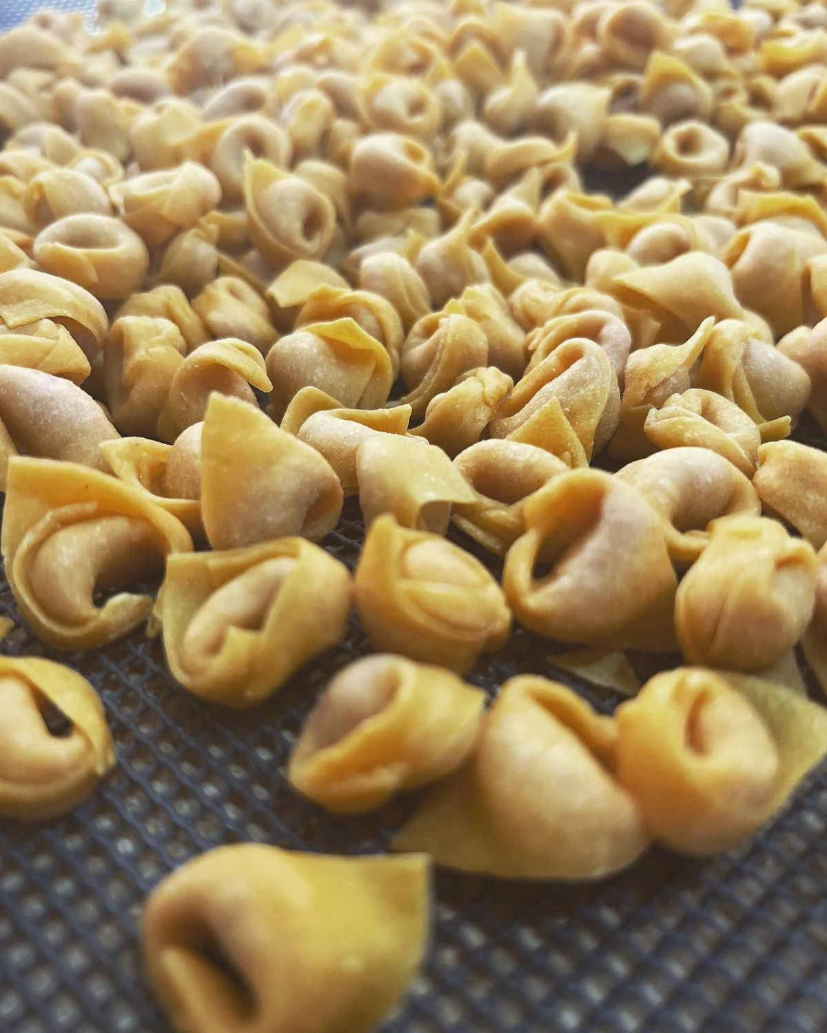 Tortellini al kg