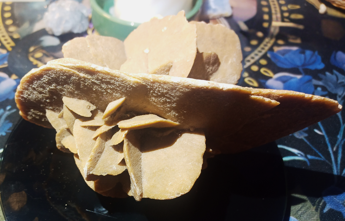 Rose des sables