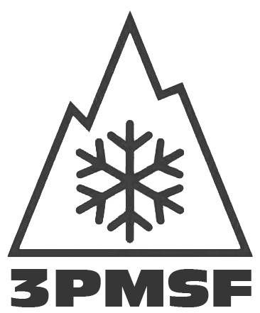 225/45R17 94V FR XL Nokian Tyres WR Snowproof P