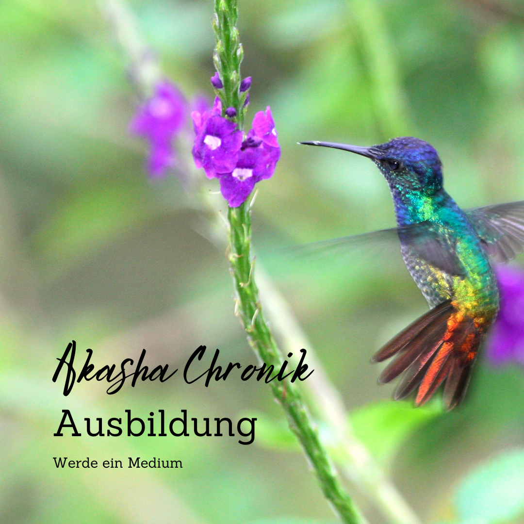 Akasha Chronik Ausbildung Abendkurs