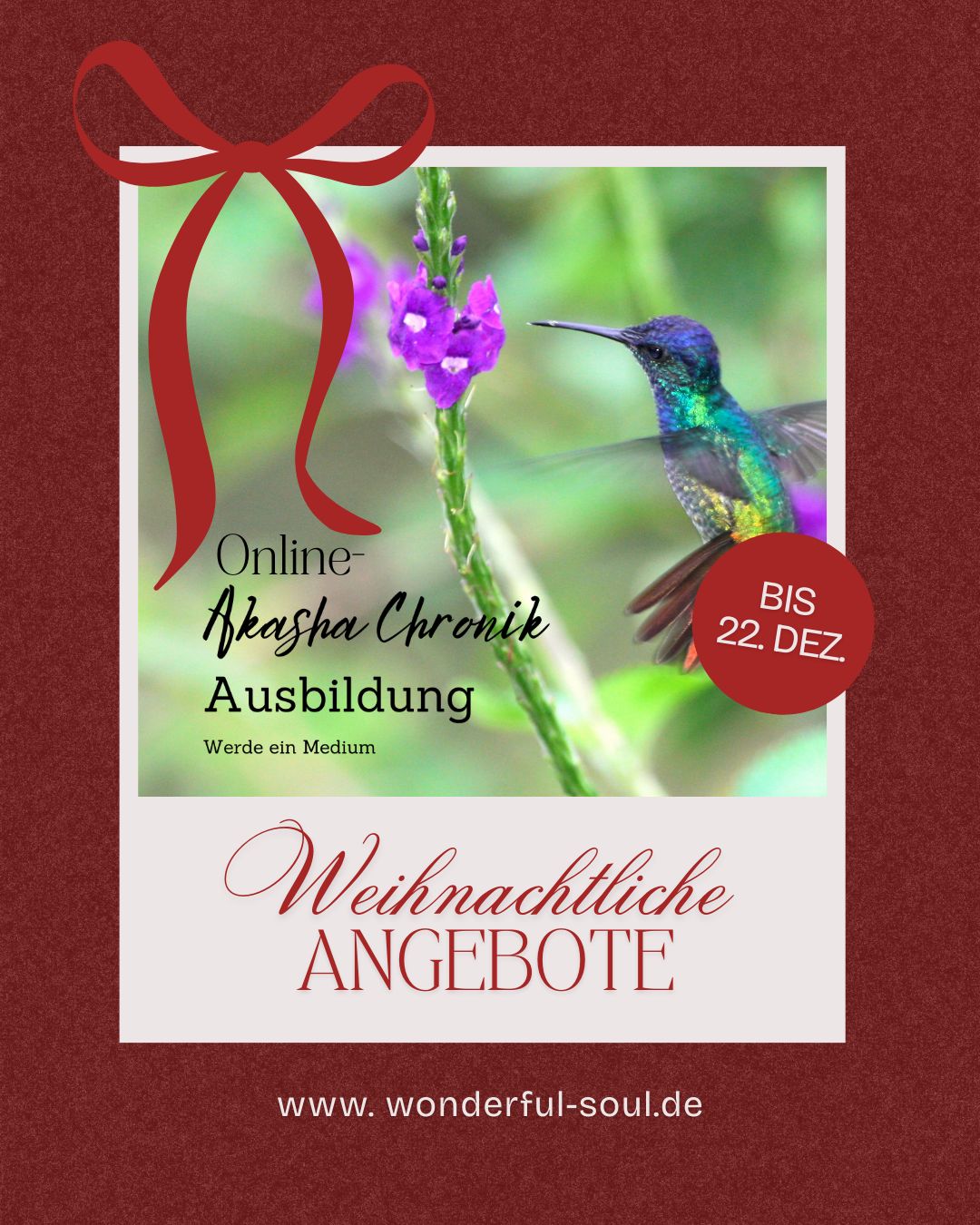 Akasha Chronik Online - Ausbildung. Neue Termine:   Start 06.01.2026,    Di + Fr. jeweils 18 - 21 Uhr.