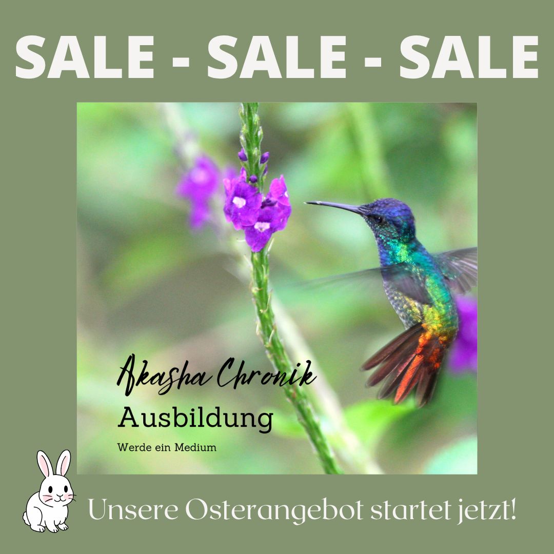 Akasha Chronik Online - Ausbildung Osterangebot Nächster Kursstart  04.07.2026 - 26.07.2026   Sa + So jeweils 12-15 Uhr.