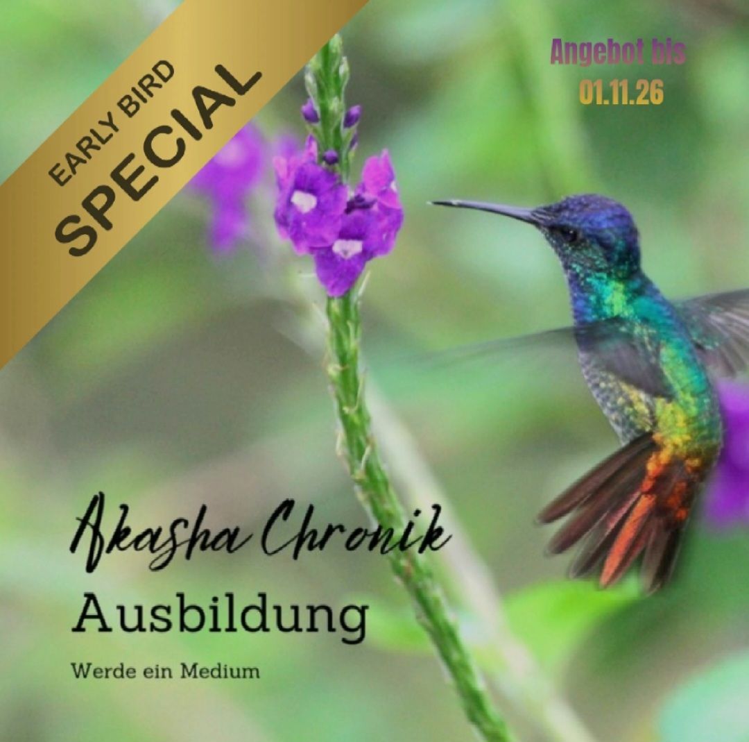 Akasha Chronik Online - Ausbildung.  Frühbucherpreis, Dezemberkurs: 05.12.2026 - 03.01.2027   Sa + So jeweils 11-14 Uhr. PayPal-Ratenzahlung möglich.